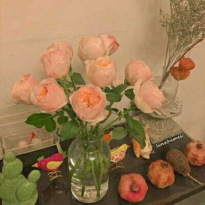 利发app手机登陆